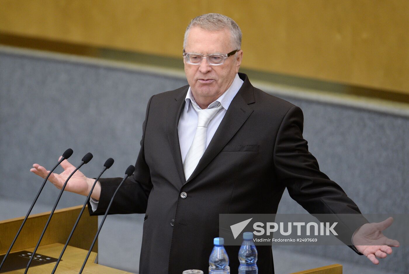 Plenary meeting of the State Duma of the Russian Federation