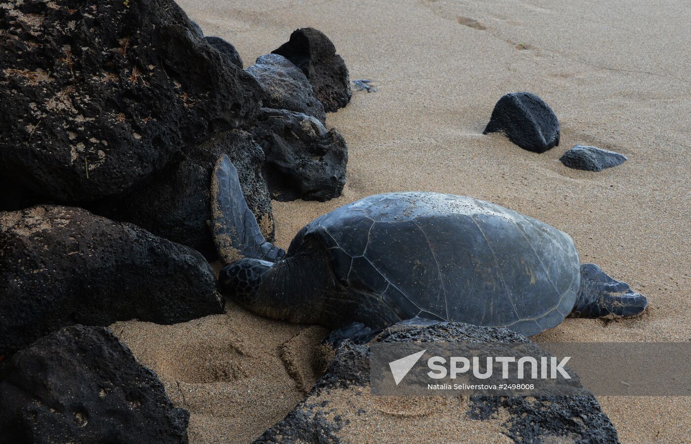 Island of Maui. United States of America