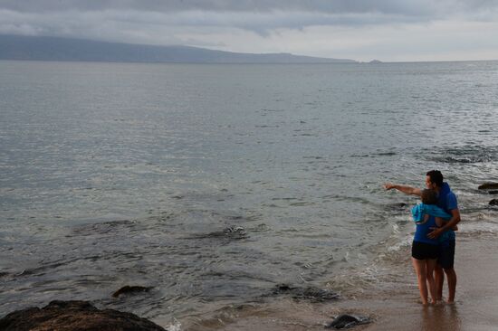 Island of Maui. United States of America