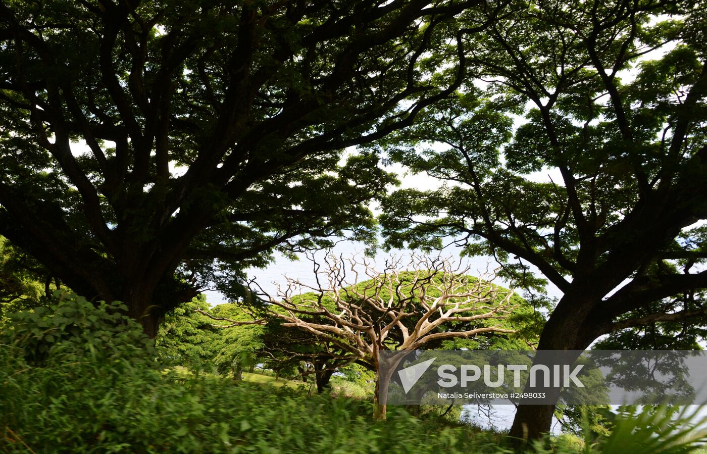 Island of Maui. United States of America