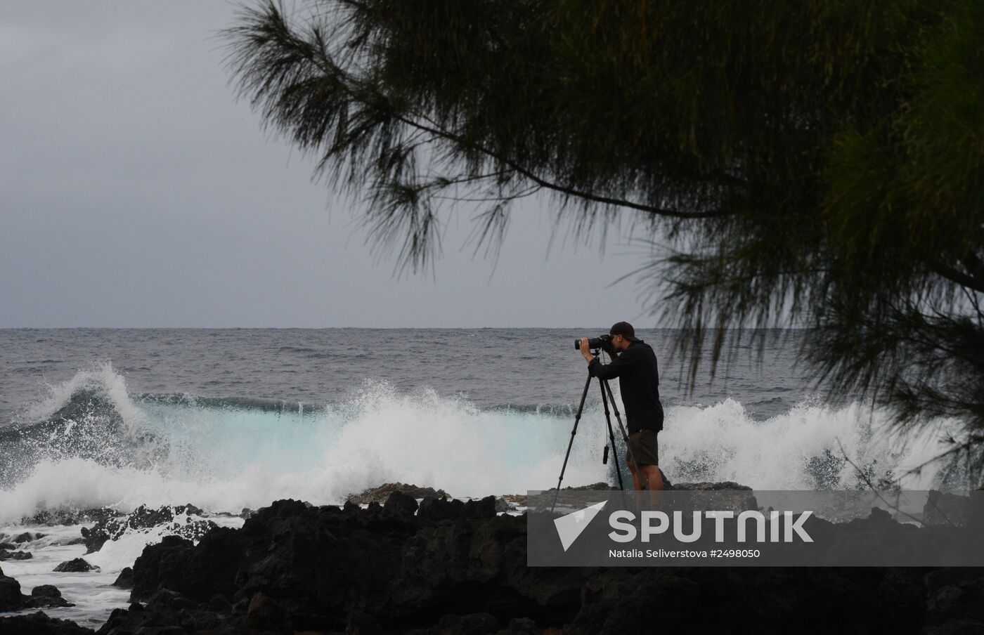 Island of Maui. United States of America