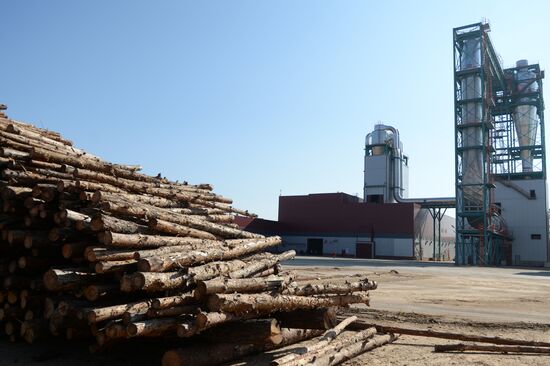 Wood-based panel plant in Yelabuga