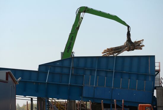 Wood-based panel plant in Yelabuga