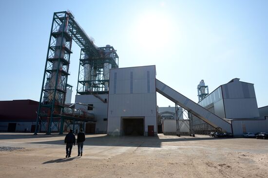 Wood-based panel plant in Yelabuga