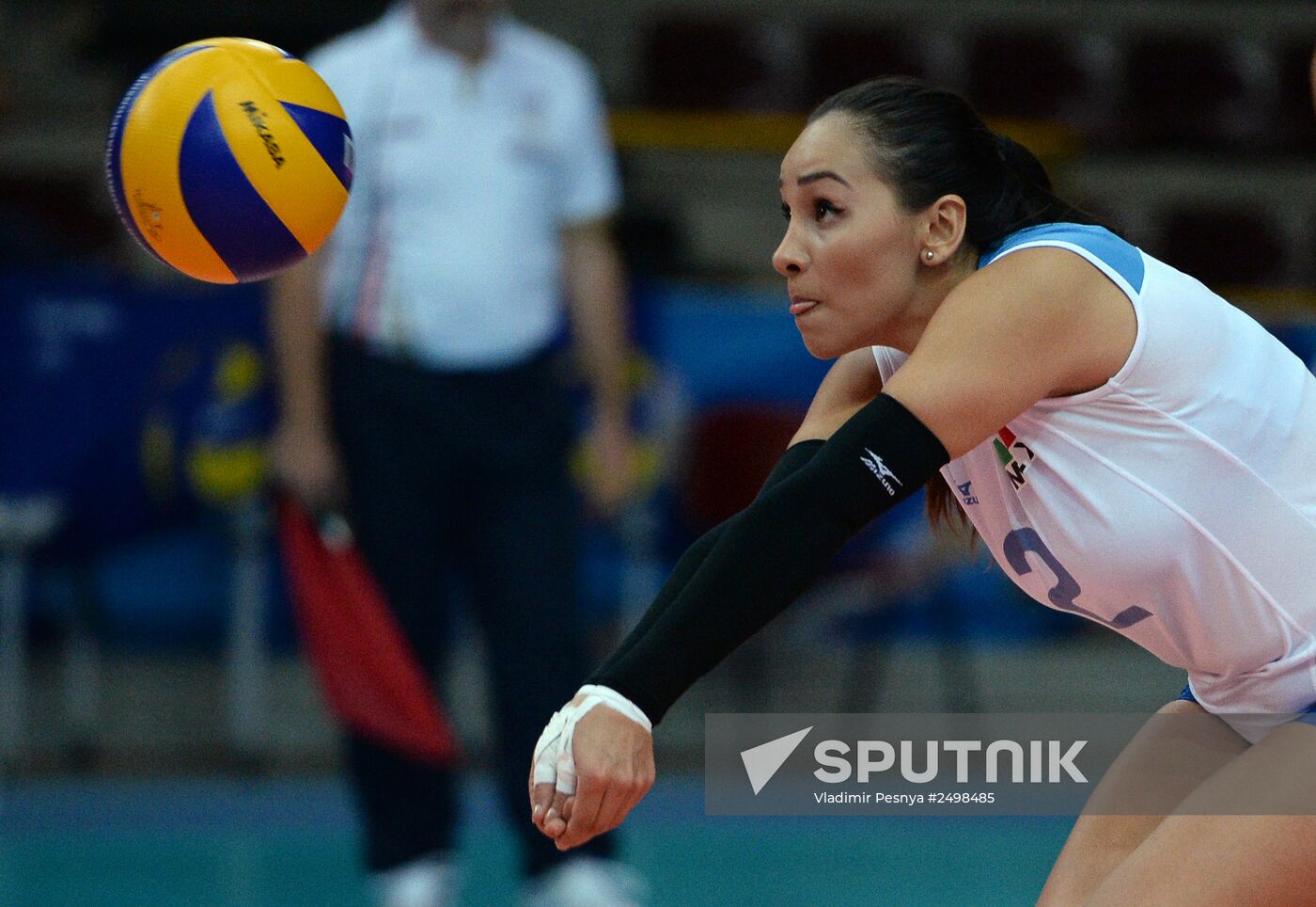 2014 FIVB Volleyball Women's World Championship. Russia vs. Mexico