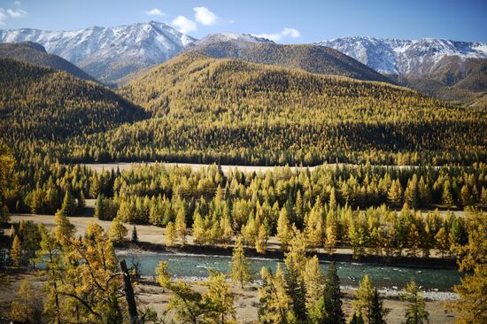 Autumn in Altai Republic