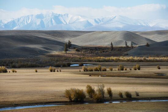Autumn in Altai Republic