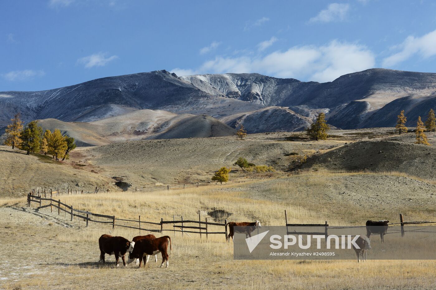 Autumn in Altai Republic
