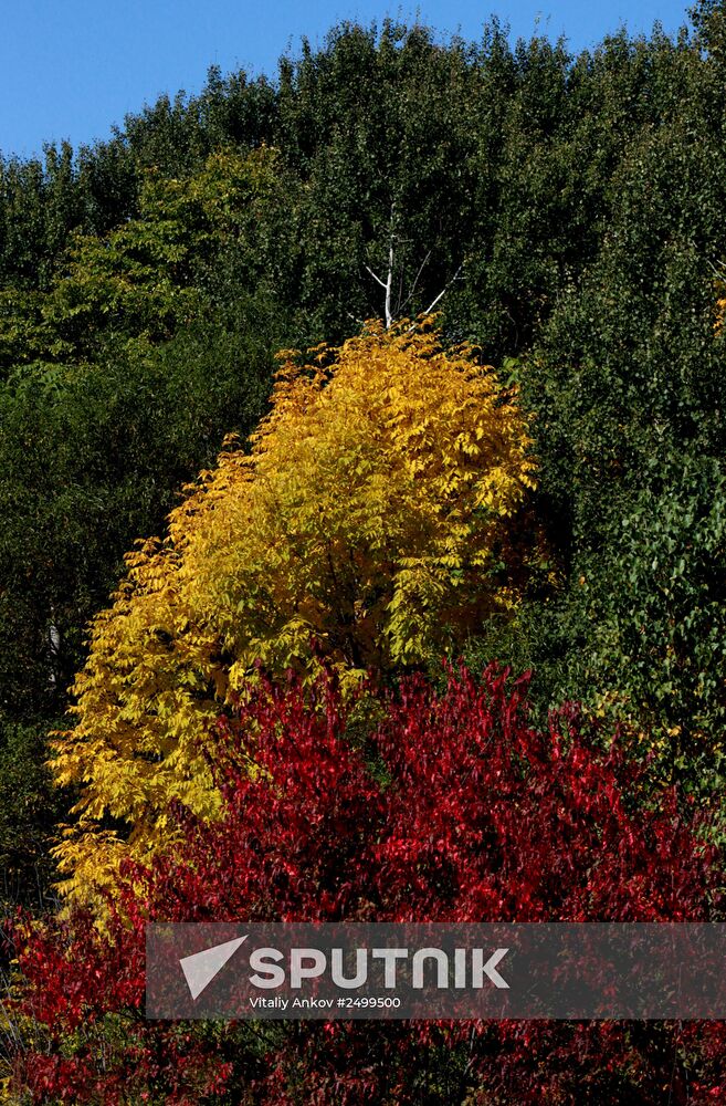 Mellow autumn in Primorye Territory