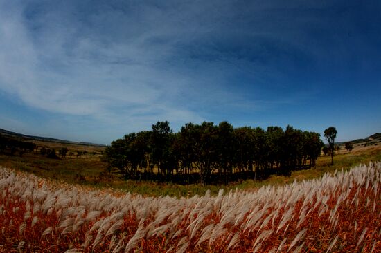 Mellow autumn in Primorye Territory