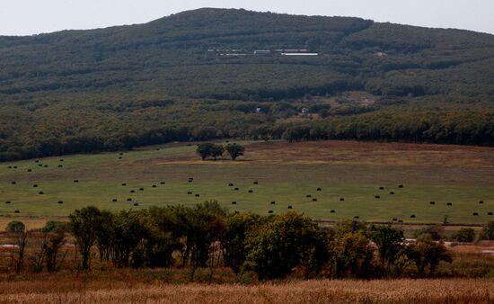 Mellow autumn in Primorye Territory