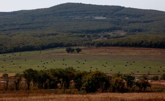 Mellow autumn in Primorye Territory