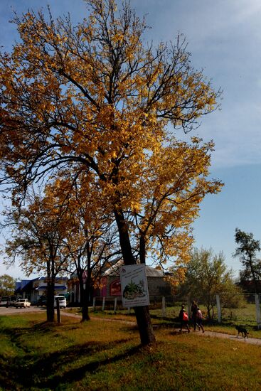 Mellow autumn in Primorye Territory