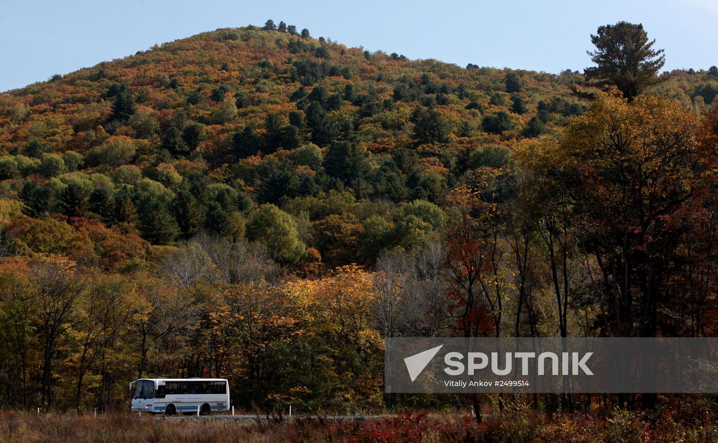 Mellow autumn in Primorye Territory