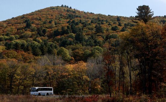 Mellow autumn in Primorye Territory