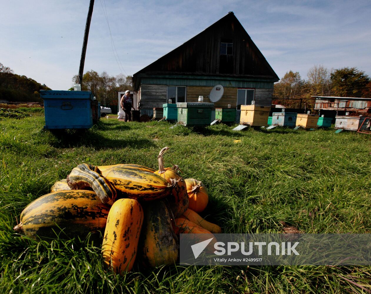 Mellow autumn in Primorye Territory