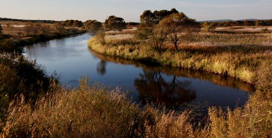 Mellow autumn in Primorye Territory