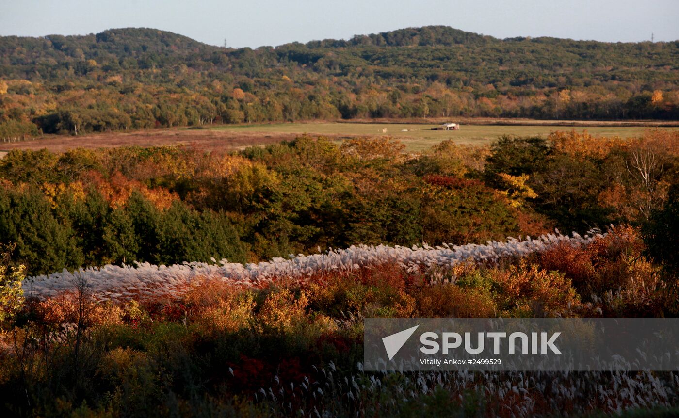 Mellow autumn in Primorye Territory