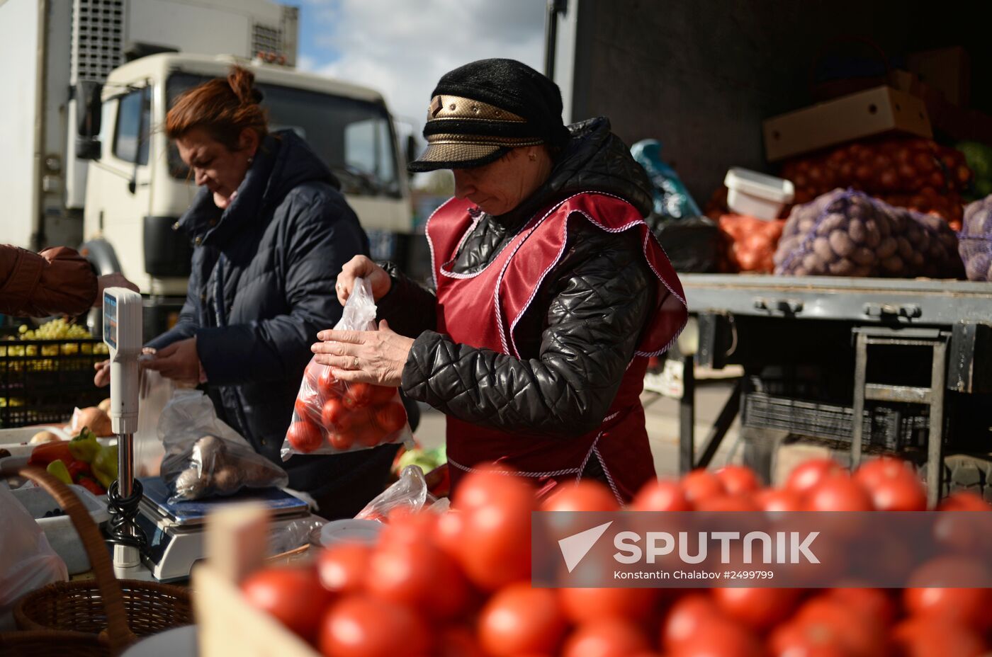 Agricultural fair in Veliky Novgorod