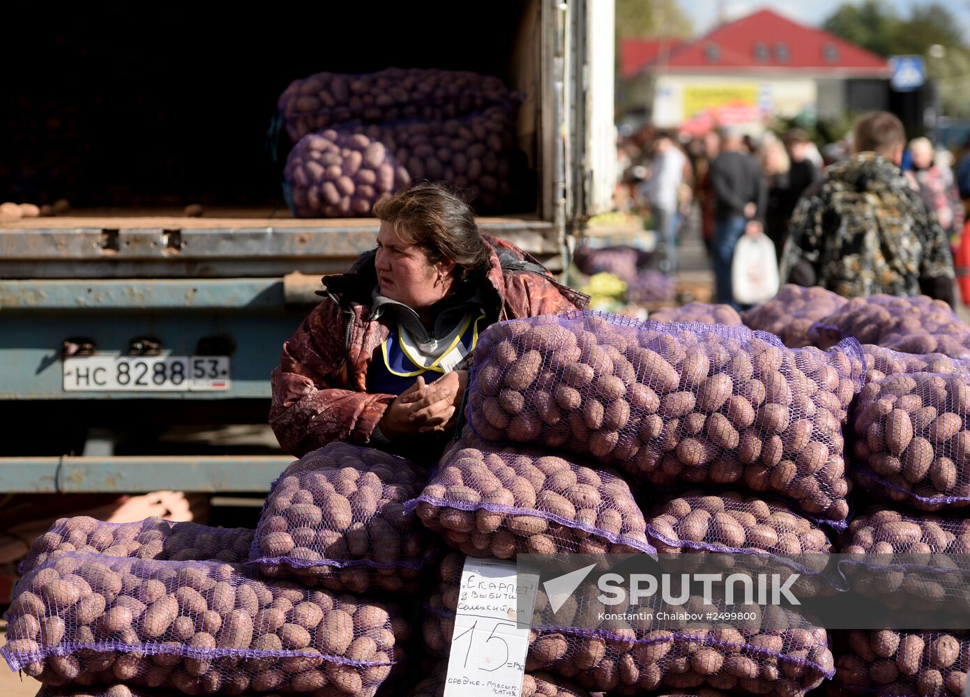 Agricultural fair in Veliky Novgorod