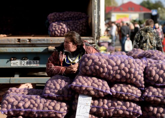 Agricultural fair in Veliky Novgorod