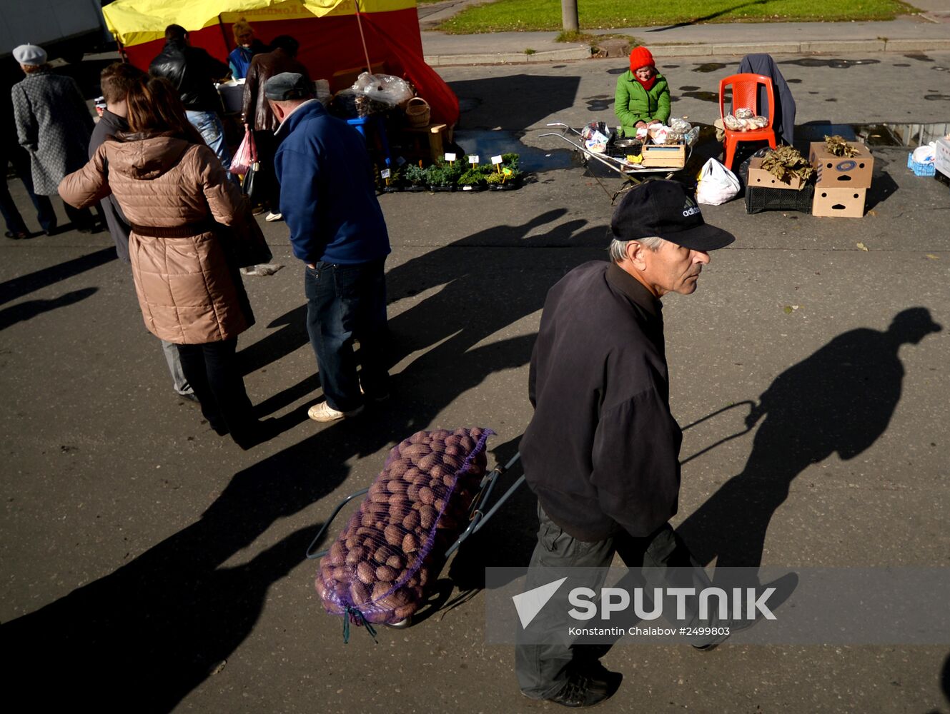 Agricultural fair in Veliky Novgorod