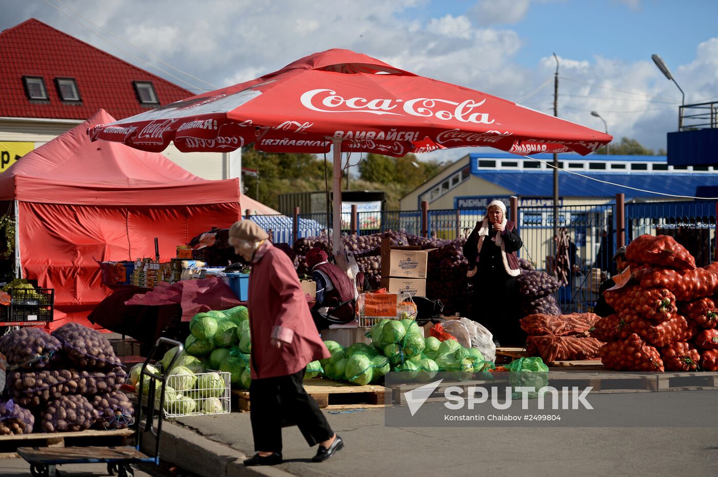 Agricultural fair in Veliky Novgorod