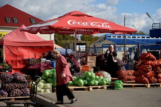 Agricultural fair in Veliky Novgorod