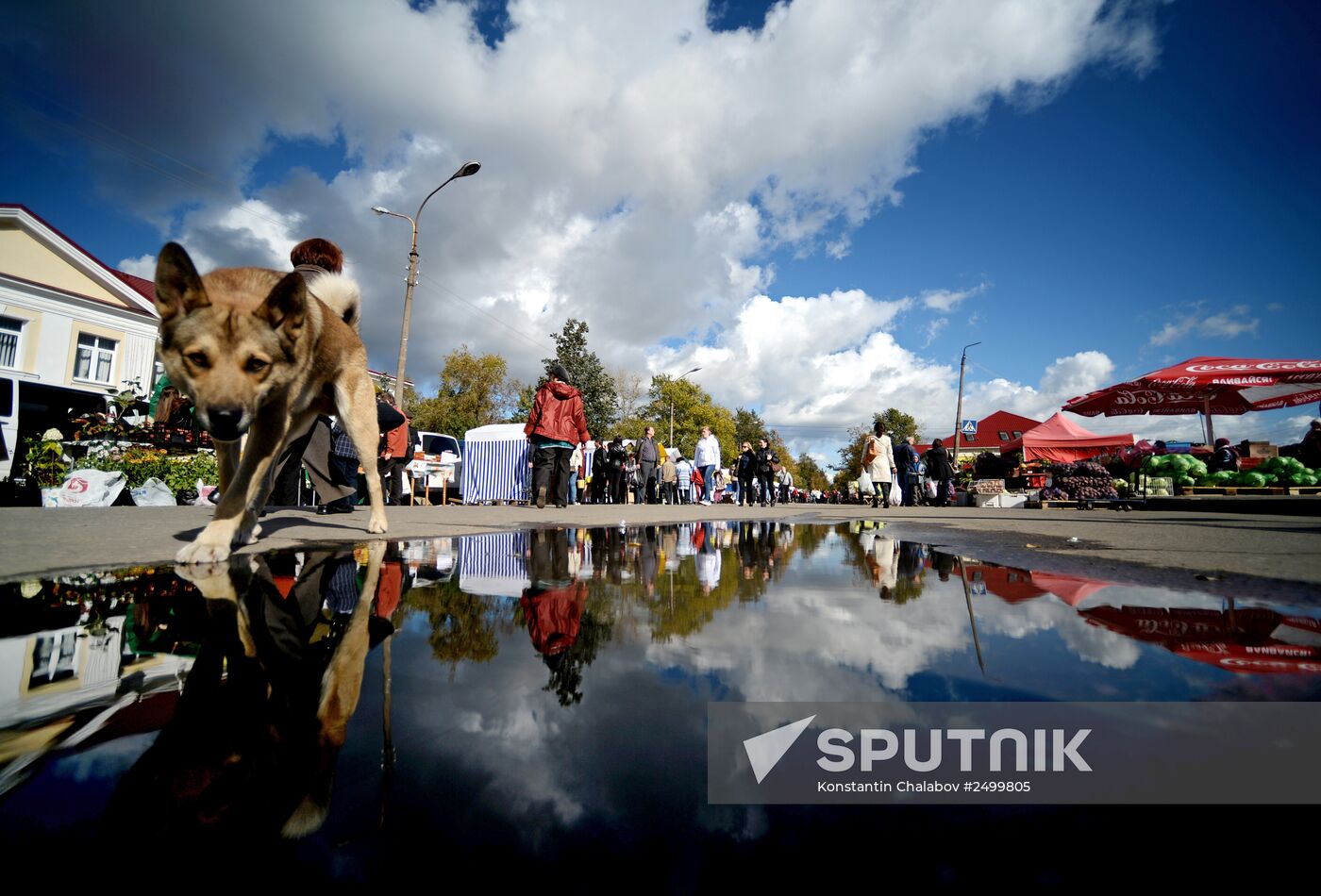 Agricultural fair in Veliky Novgorod