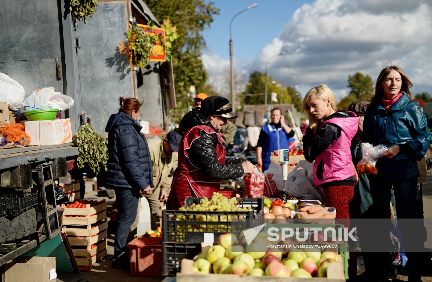 Agricultural fair in Veliky Novgorod