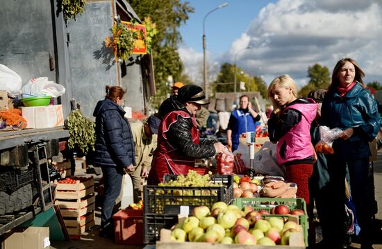 Agricultural fair in Veliky Novgorod