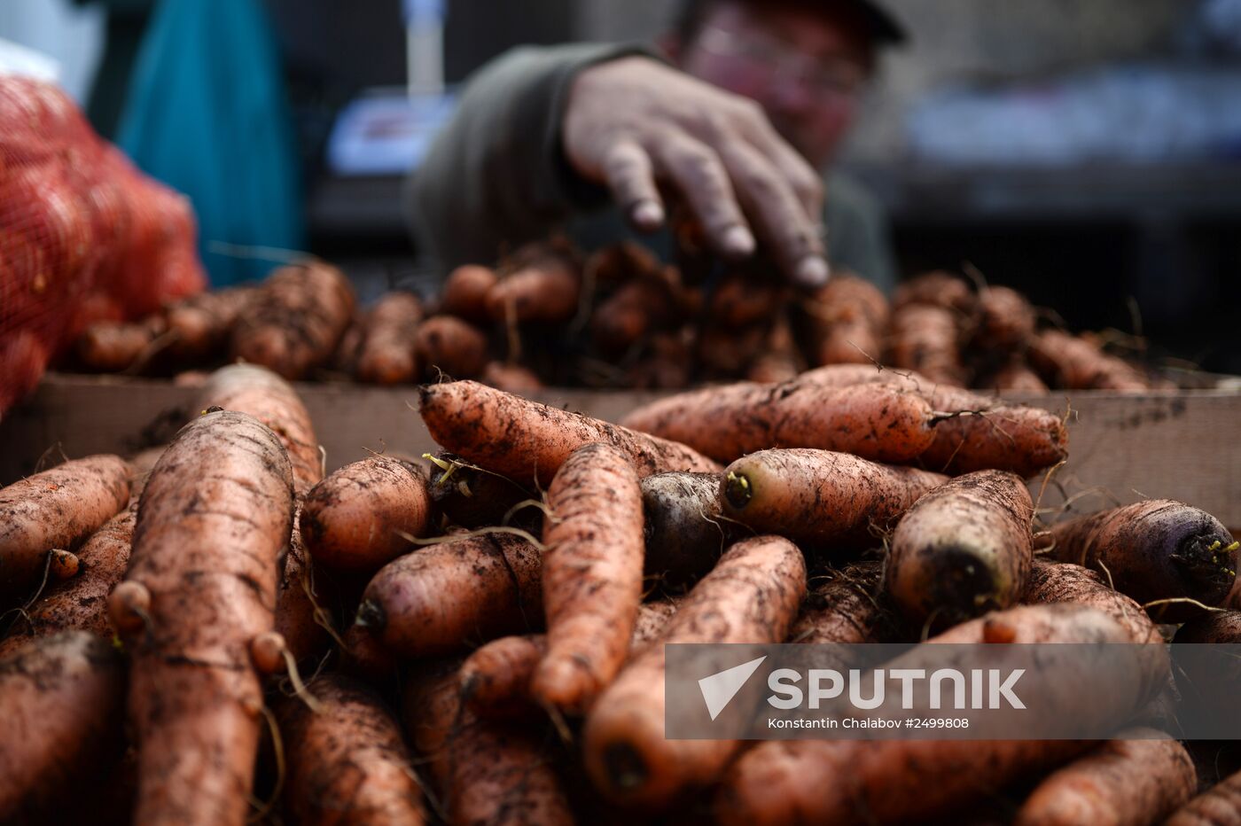 Agricultural fair in Veliky Novgorod