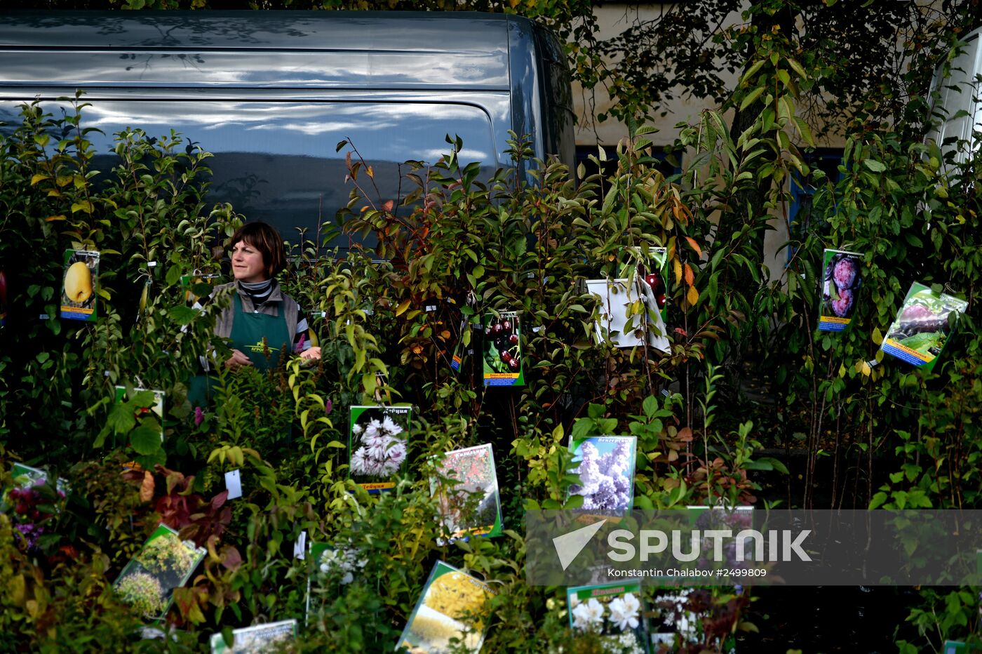 Agricultural fair in Veliky Novgorod