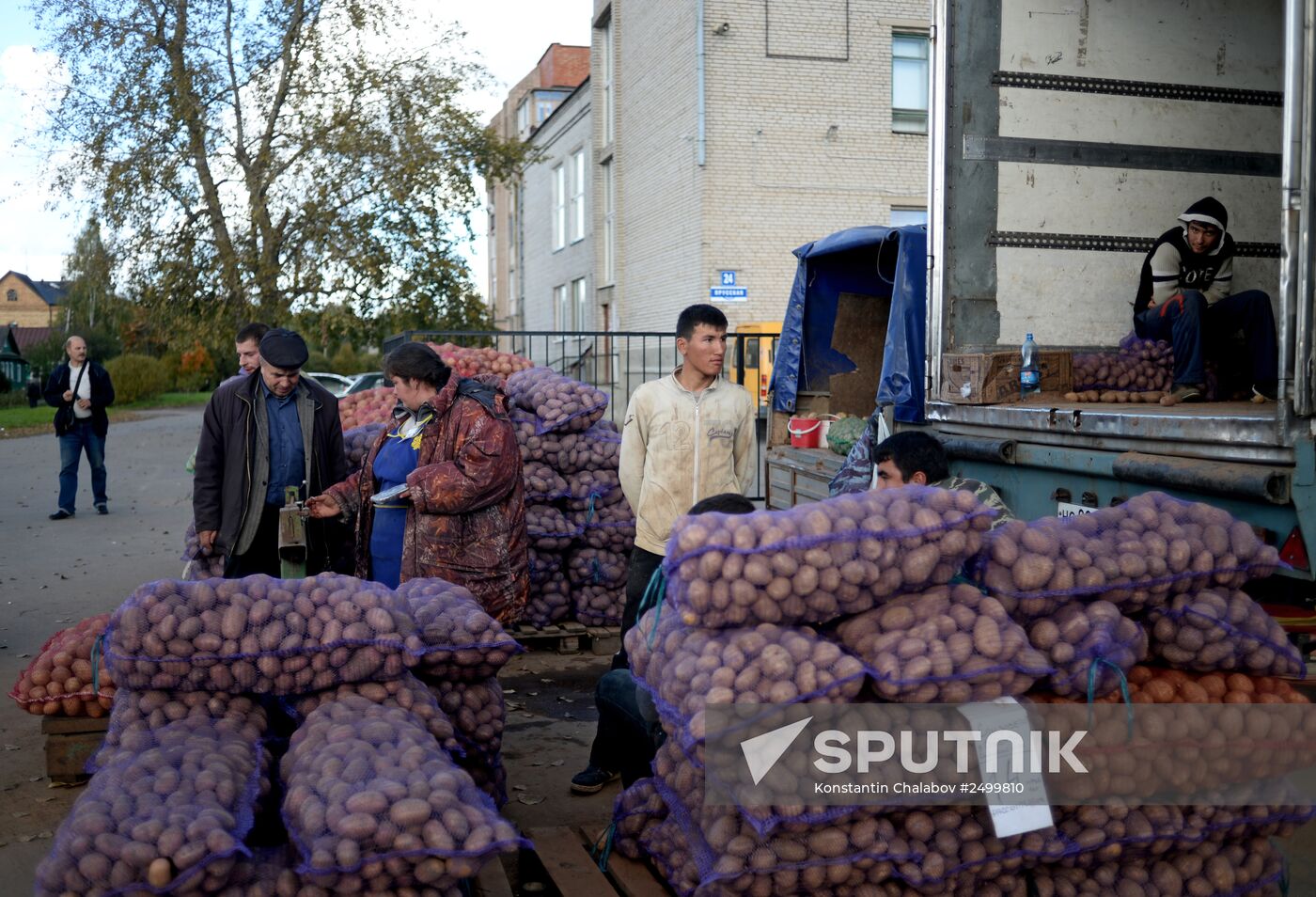 Agricultural fair in Veliky Novgorod