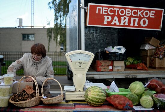 Agricultural fair in Veliky Novgorod