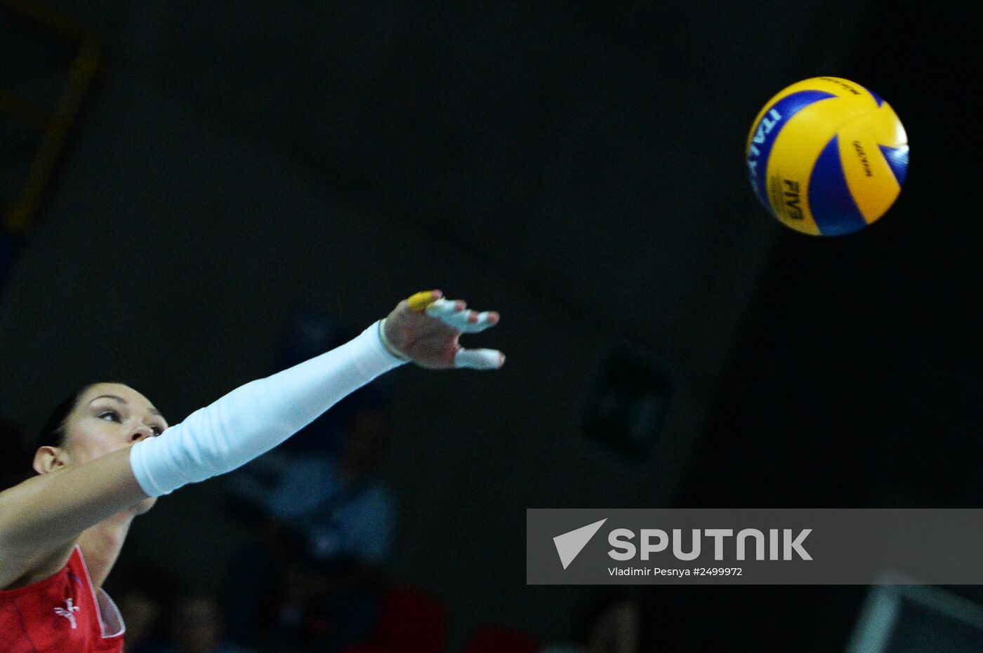 2014 FIVB Volleyball Women's World Championship. Russia vs. Netherlands