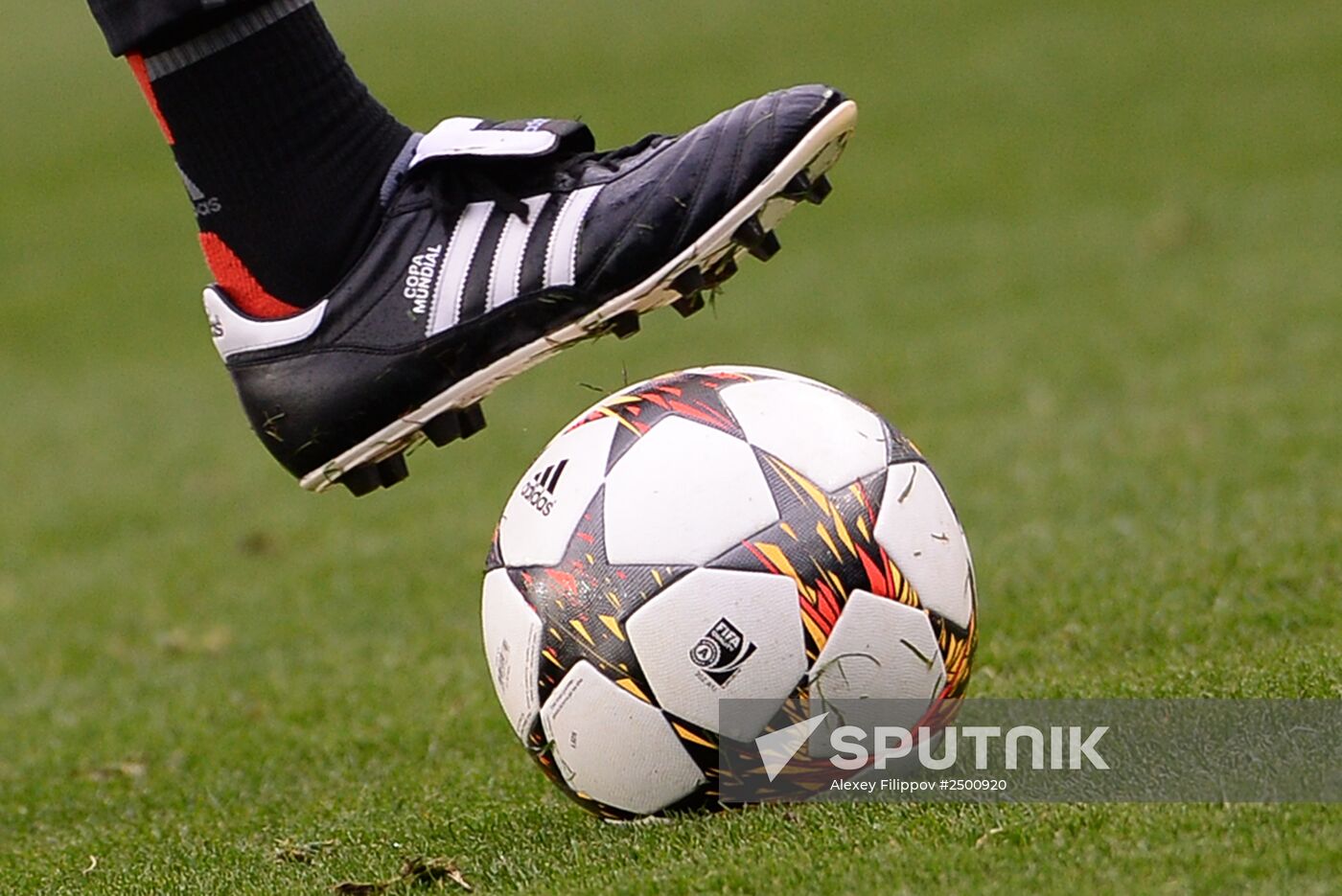 Football. Training session of FC Bayern