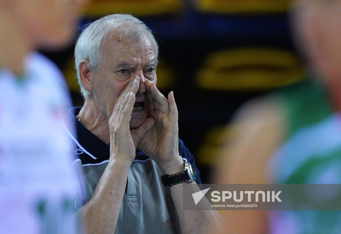 Volleyball Women's World Championship. Bulgaria vs. Russia