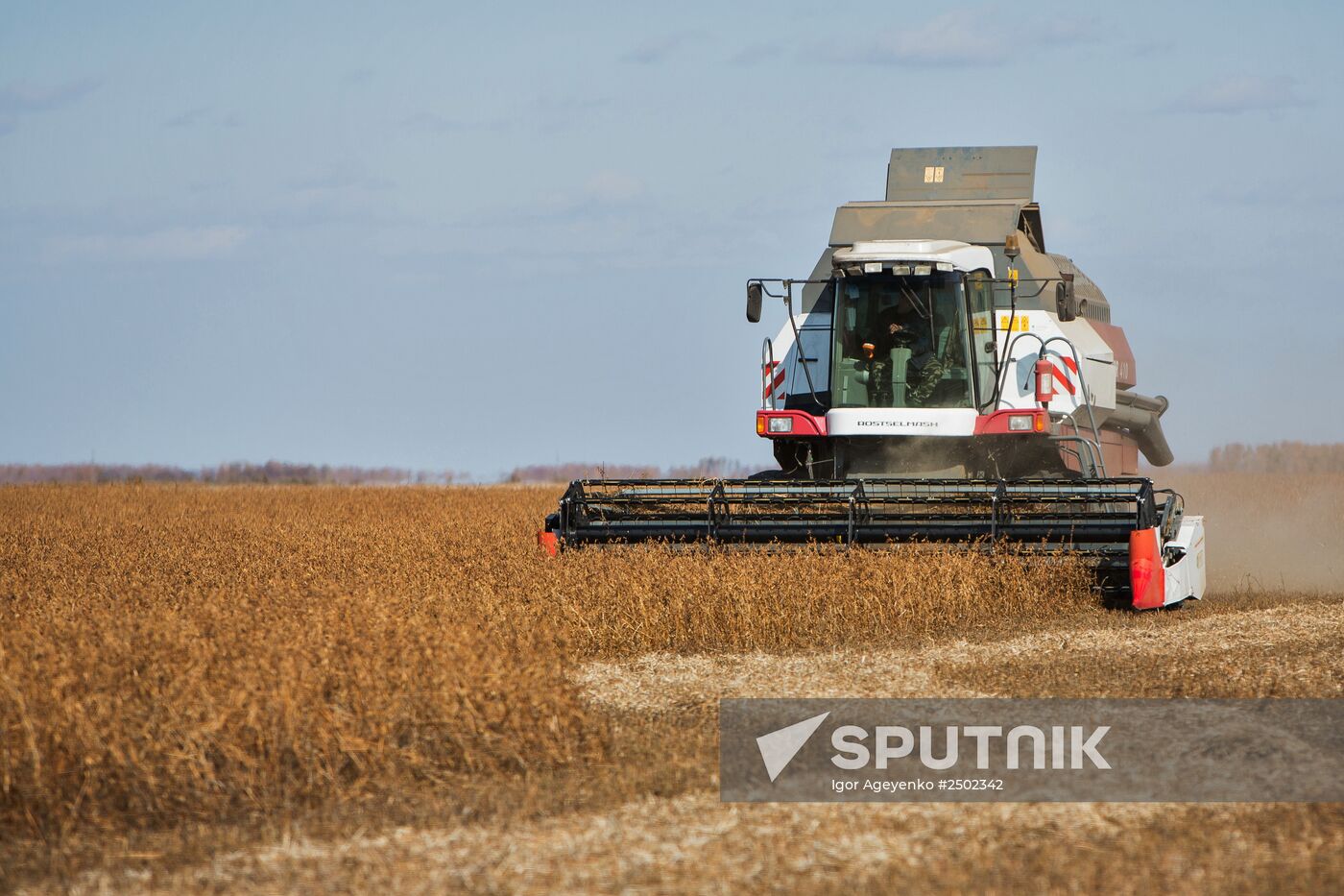 Harvesting soy in Amur region