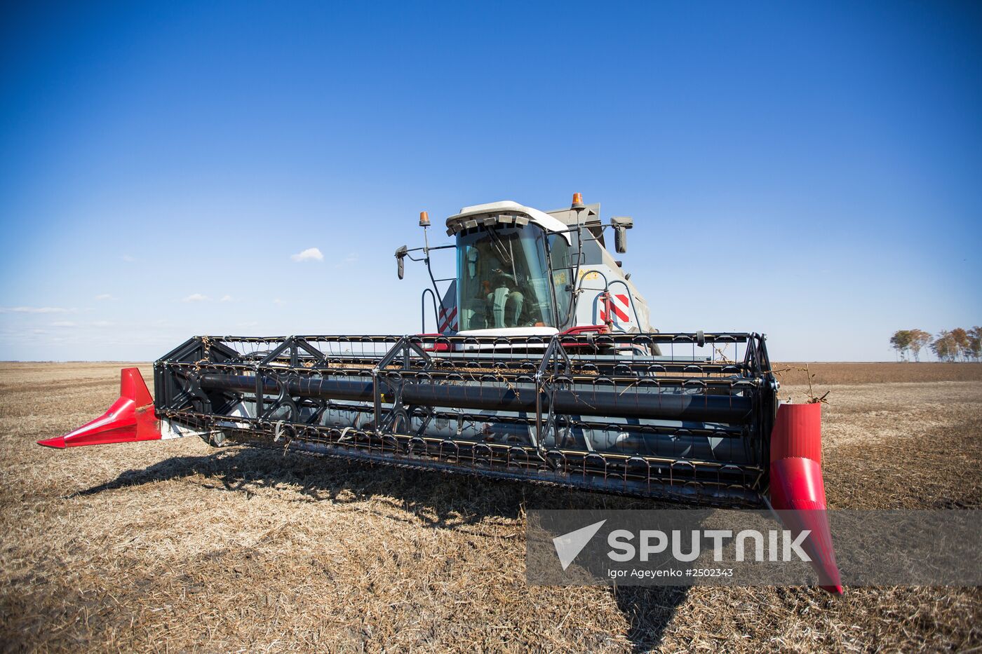 Harvesting soy in Amur region