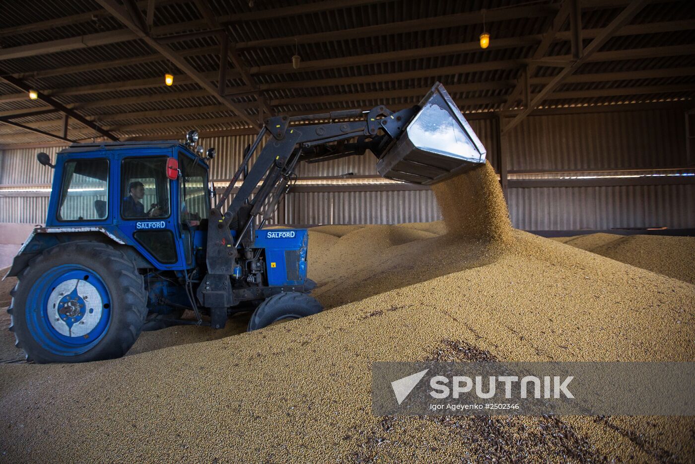 Harvesting soy in Amur region