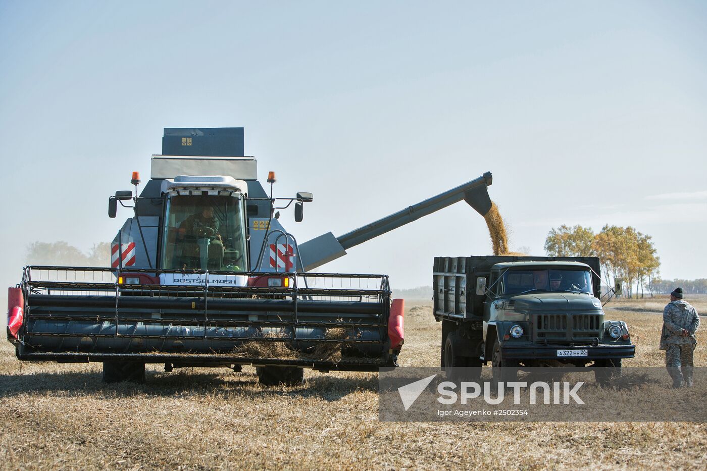 Harvesting soy in Amur region