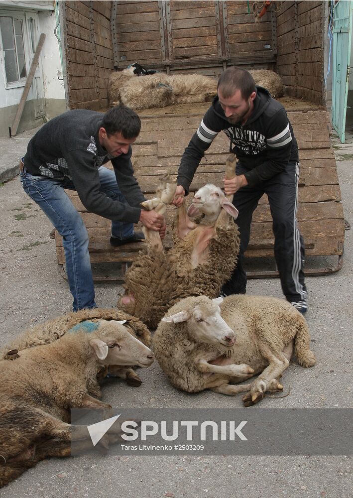 Eid al-Adha celebrations in Crimea