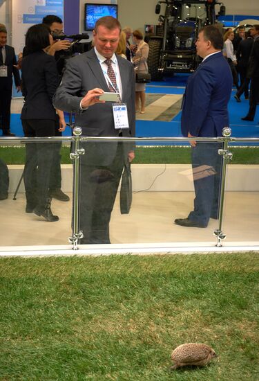 Opening of exhibition center "ExpoForum" in St. Petersburg