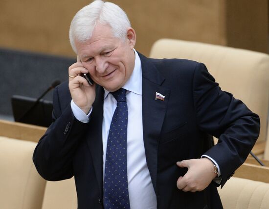 State Duma plenary meeting