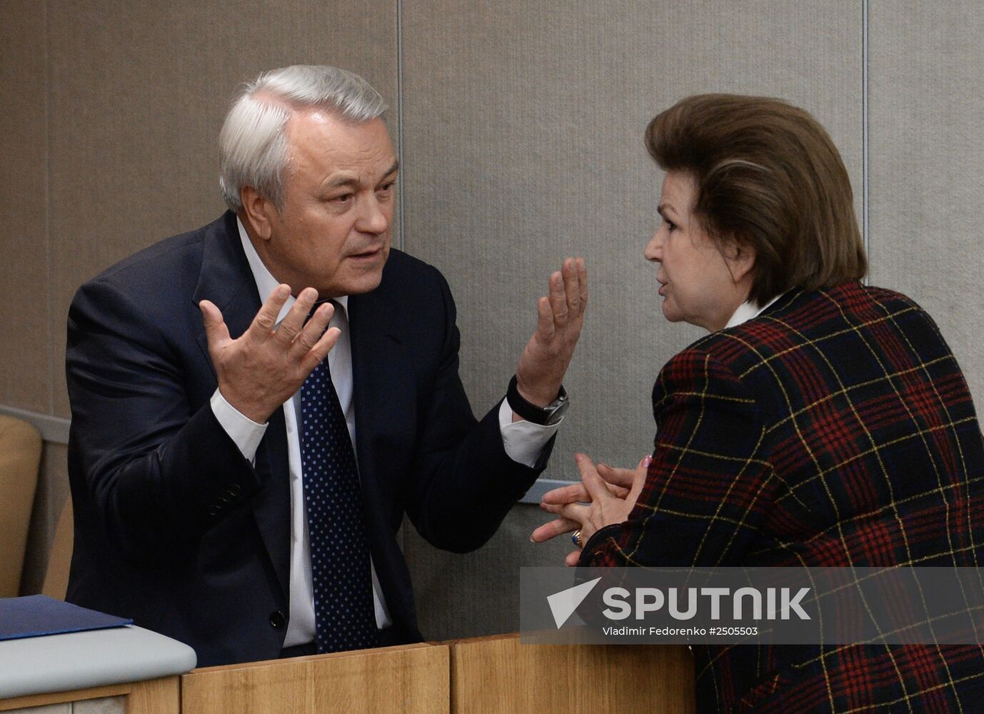 State Duma plenary meeting