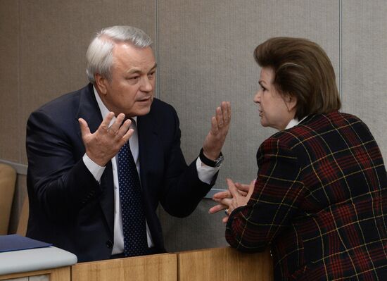 State Duma plenary meeting