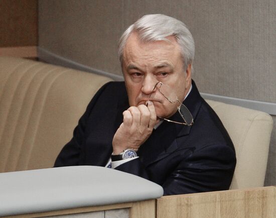 State Duma plenary meeting