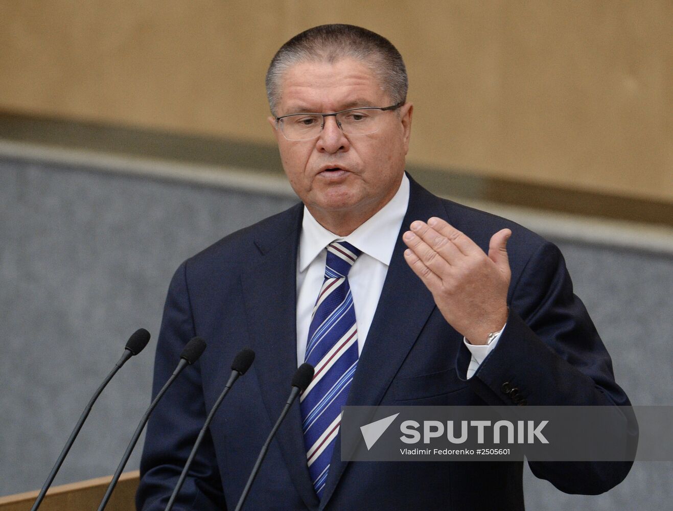 State Duma plenary meeting
