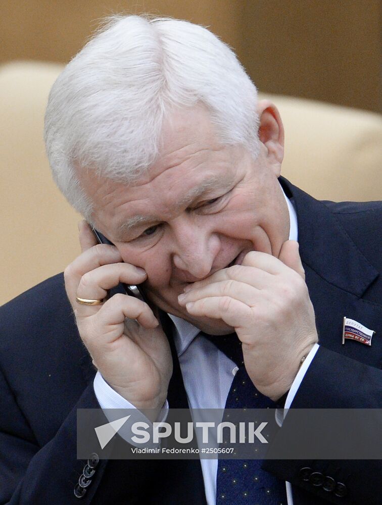 State Duma plenary meeting